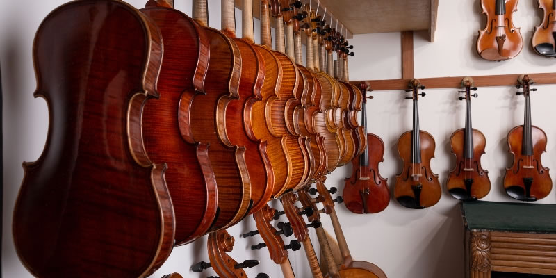 Violins in the show room at Bellwood Violin